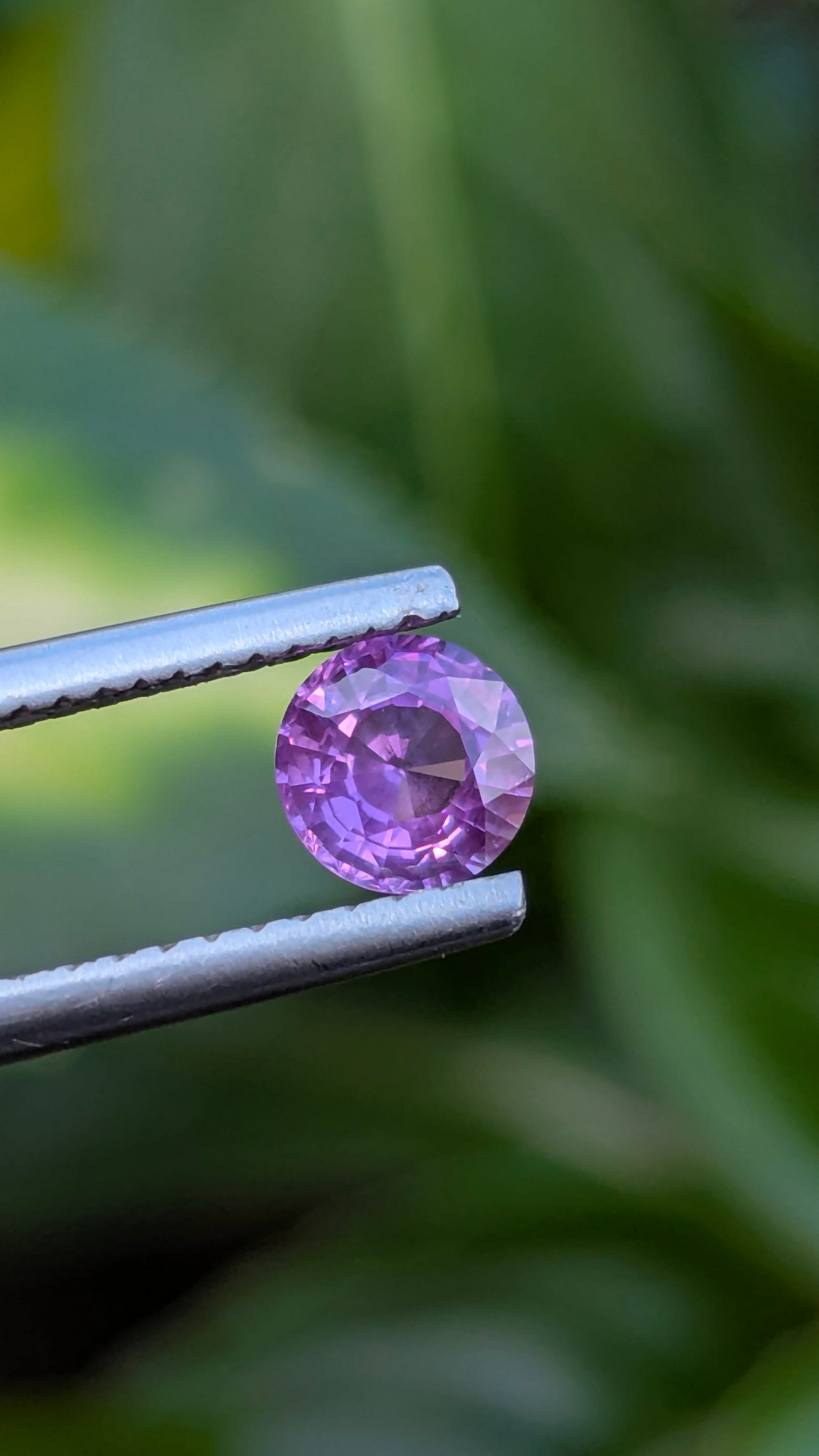 Natural Pink Sapphire 0.62 Ct | Unheated Ceylon Sapphire