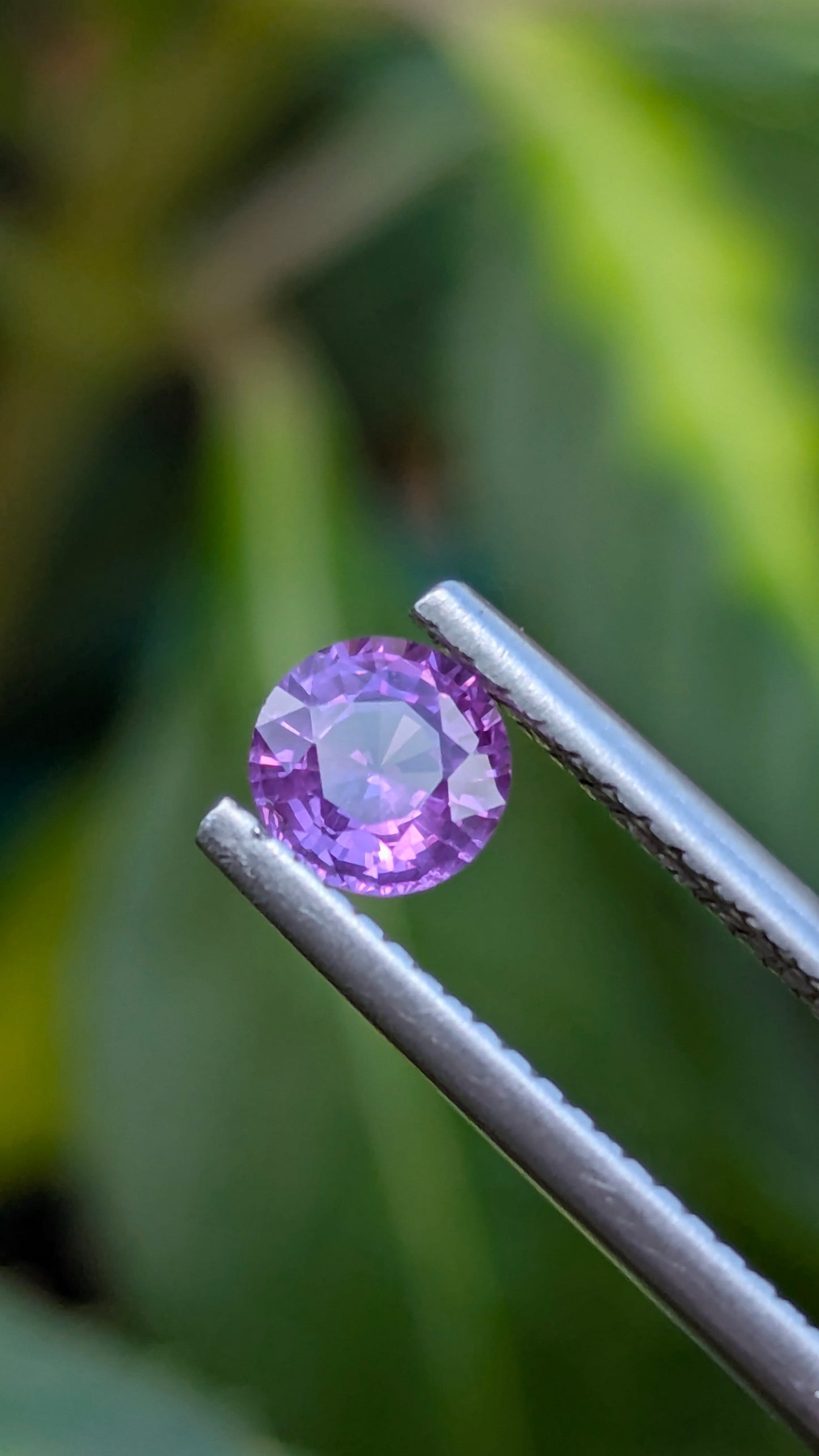 Natural Pink Sapphire 0.62 Ct | Unheated Ceylon Sapphire