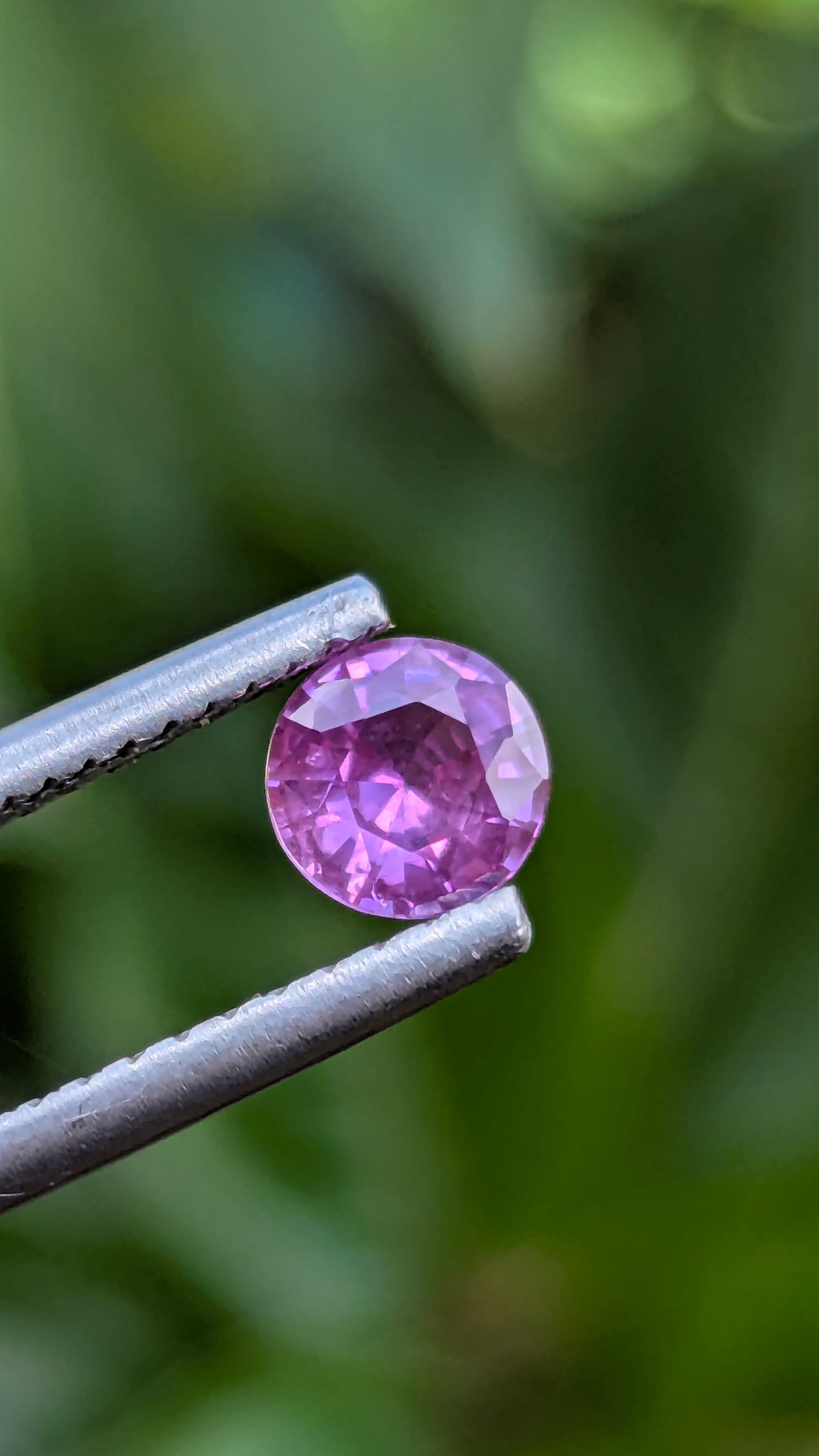 Natural Pink Sapphire 0.62 Ct | Unheated Ceylon Sapphire
