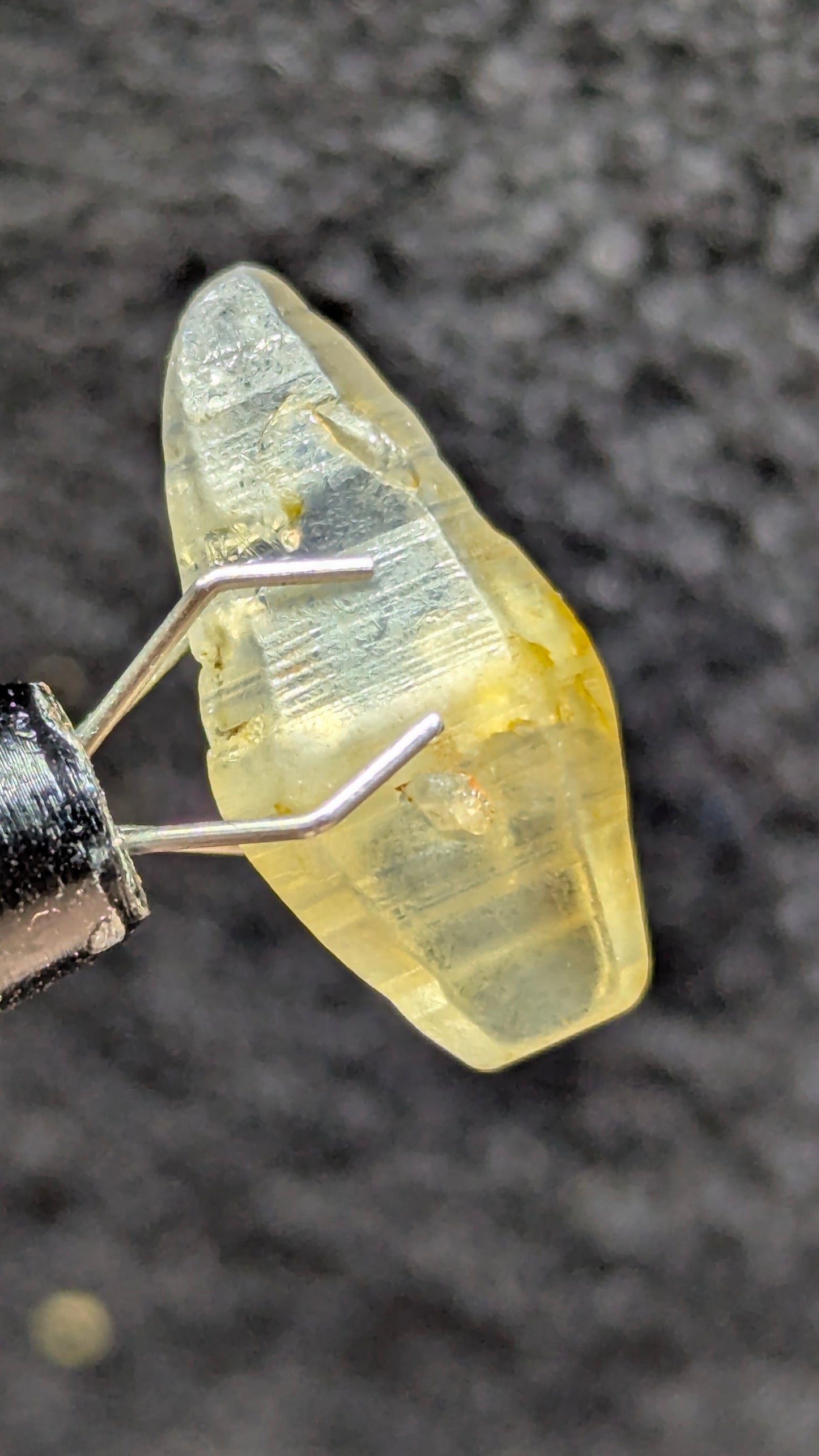 Natural Sapphire Crystal – 7.77 ct Blue Geuda Core with Yellow Tint | Unheated Ceylon Crystal