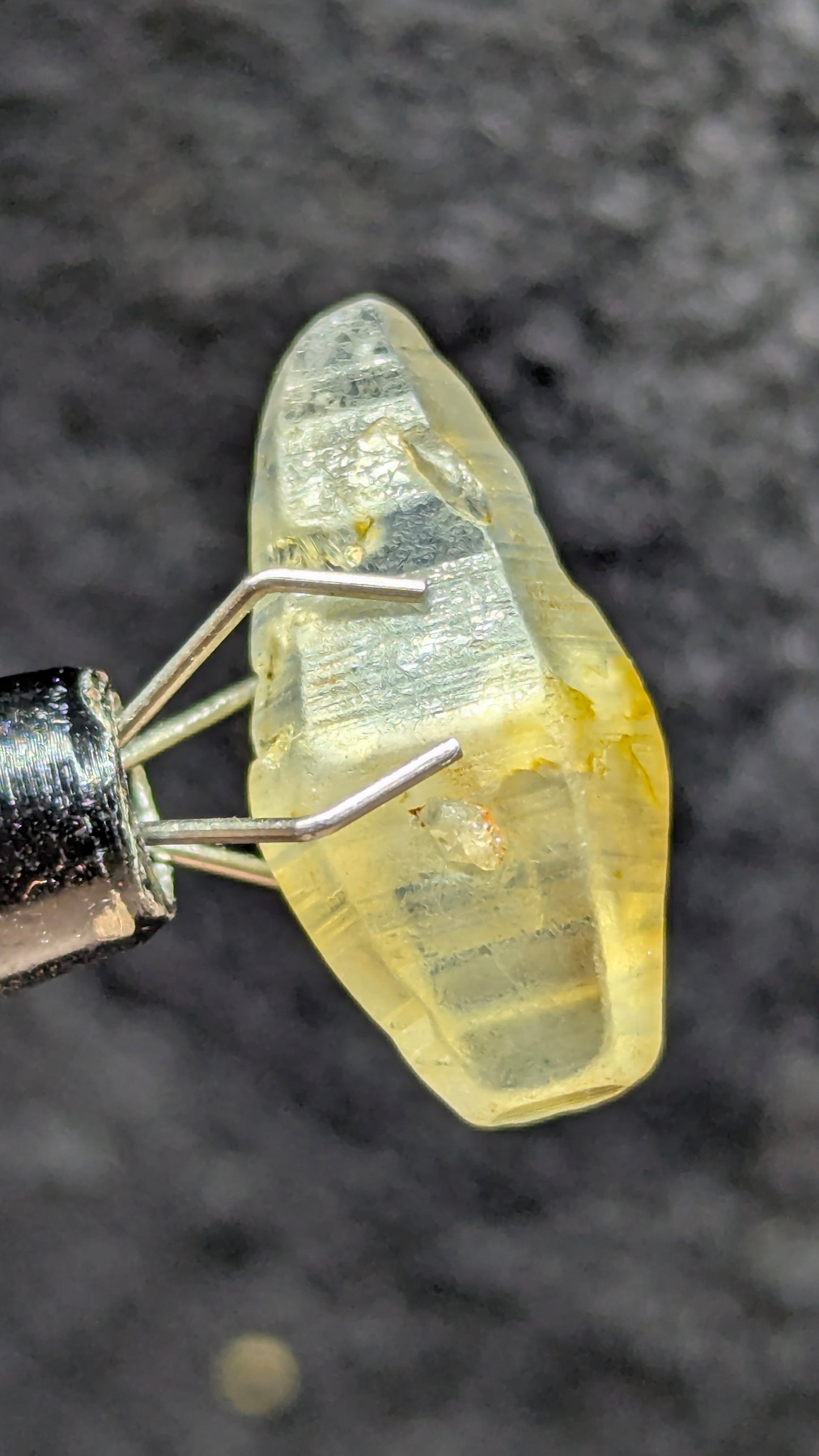 Natural Sapphire Crystal – 7.77 ct Blue Geuda Core with Yellow Tint | Unheated Ceylon Crystal