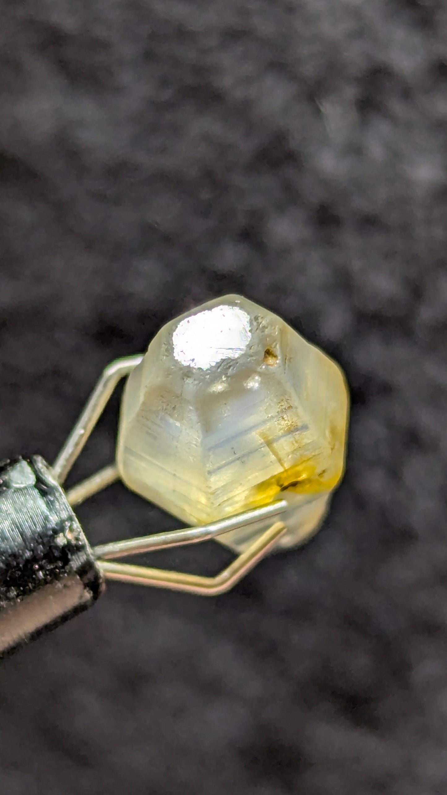 Natural Sapphire Crystal – 7.77 ct Blue Geuda Core with Yellow Tint | Unheated Ceylon Crystal