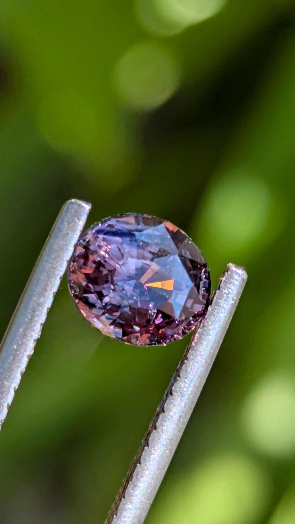 Natural Bicolor Sapphire