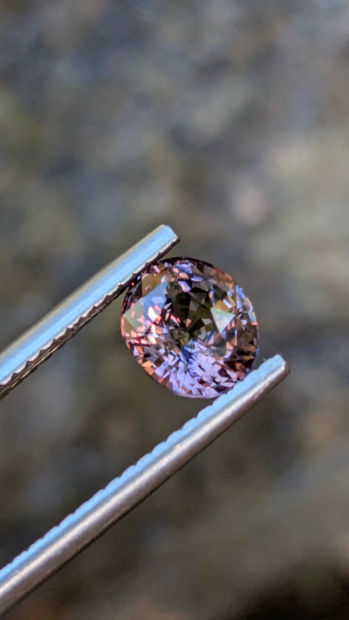 Natural Bicolor Sapphire