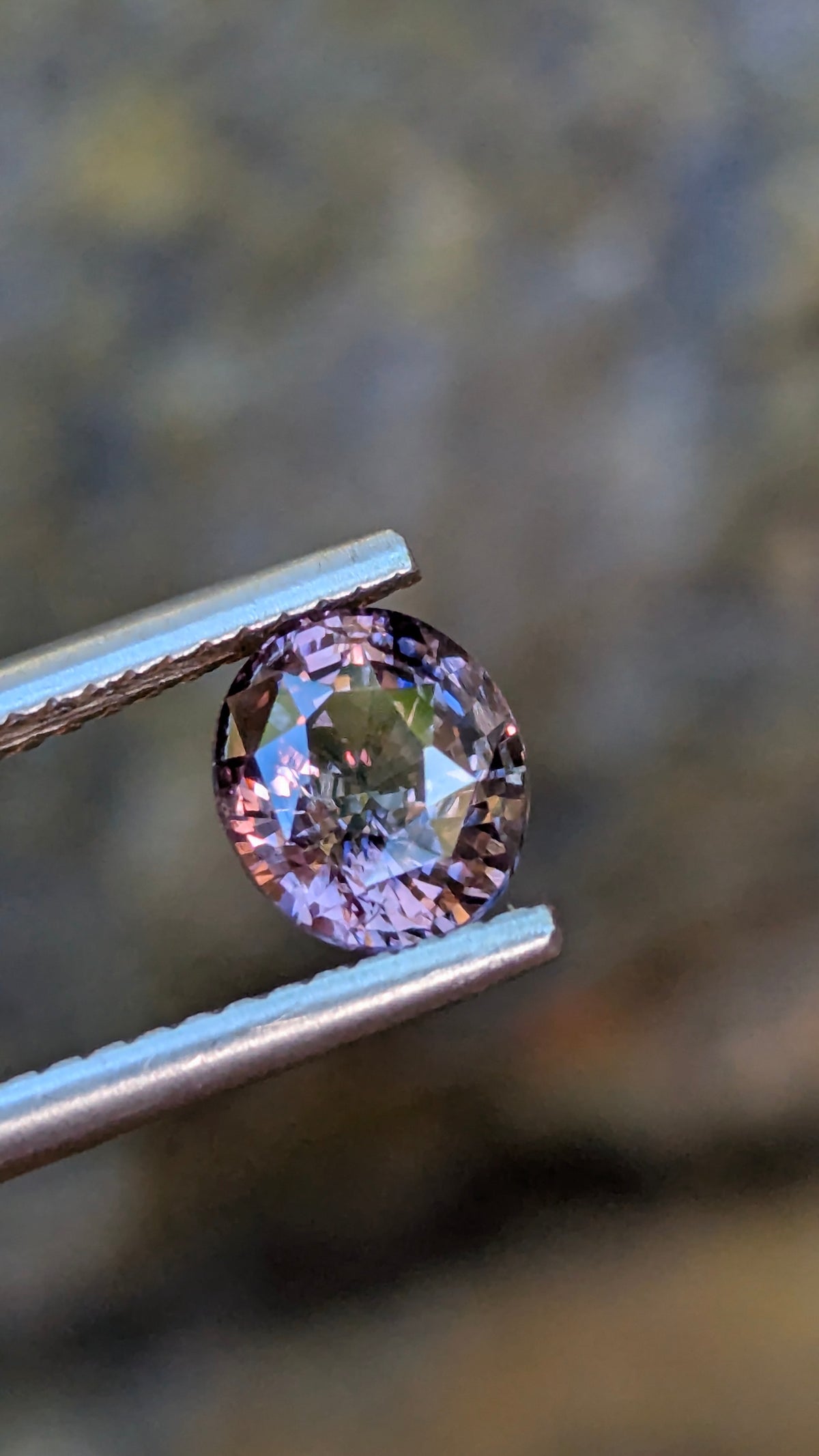 Natural Bicolor Sapphire