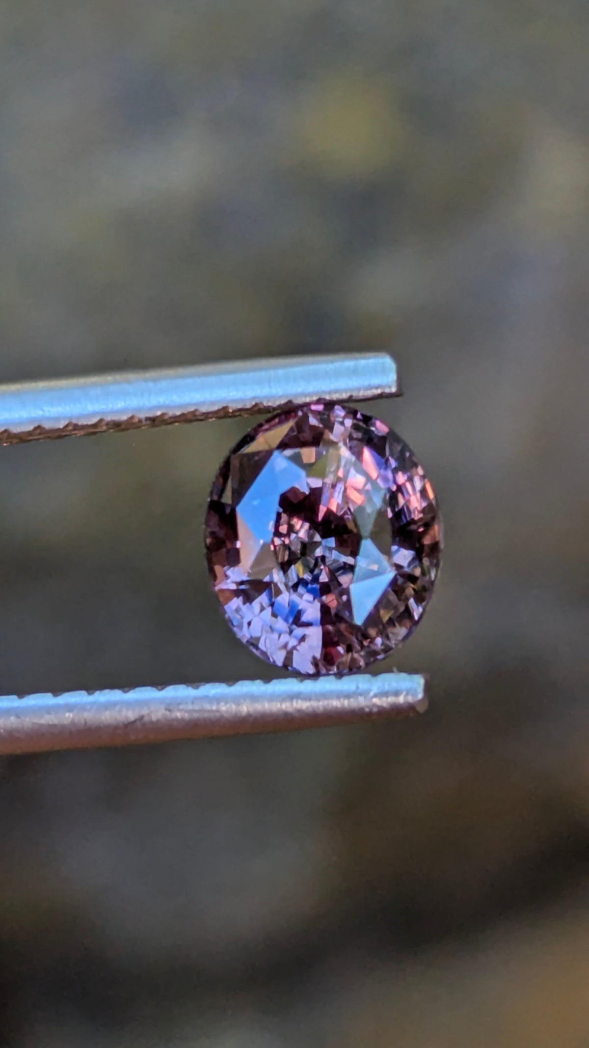 Natural Bicolor Sapphire