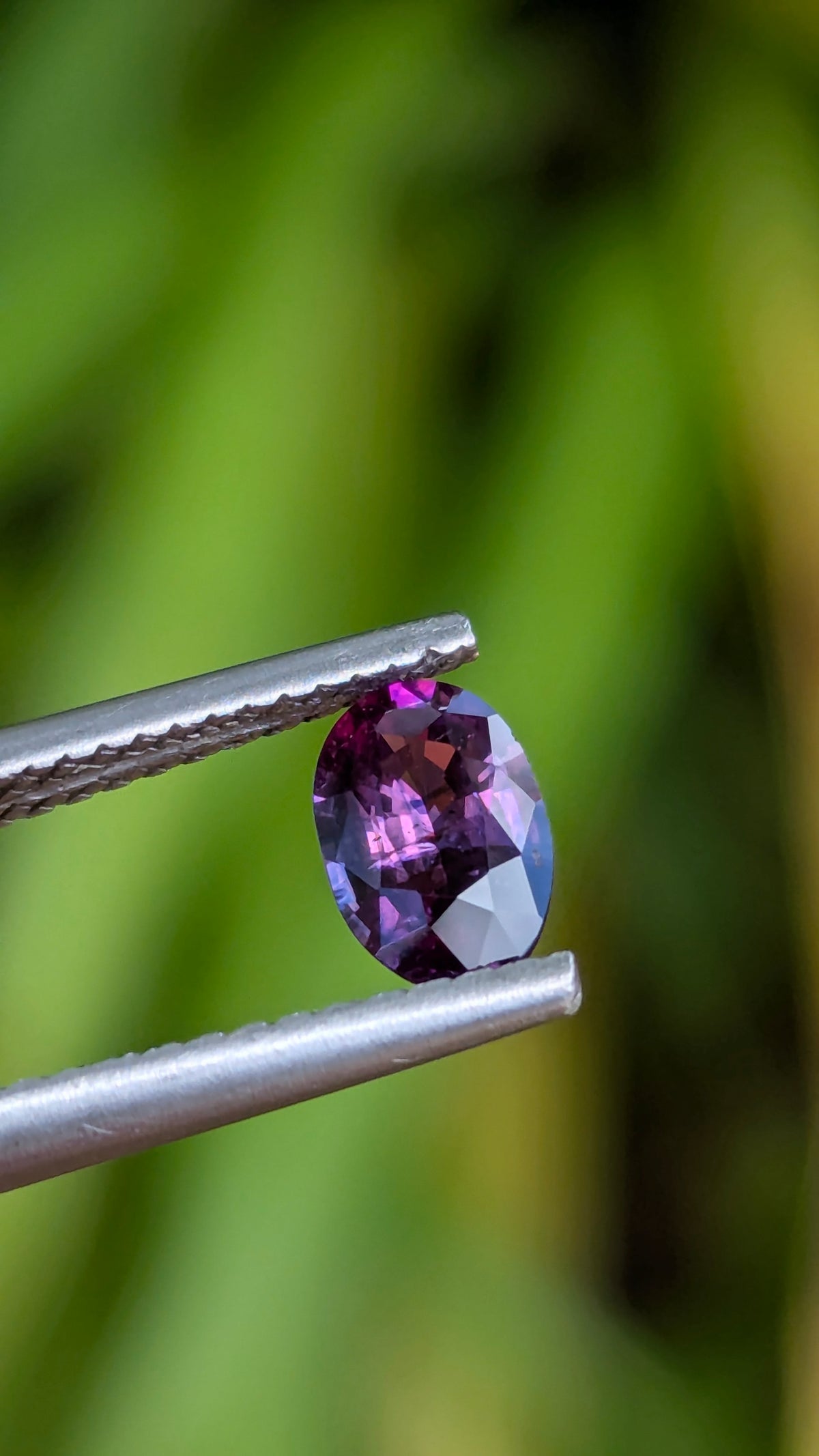 Natural Bicolor Sapphire 0.70 ct — Purple & Pink Oval | GR_644