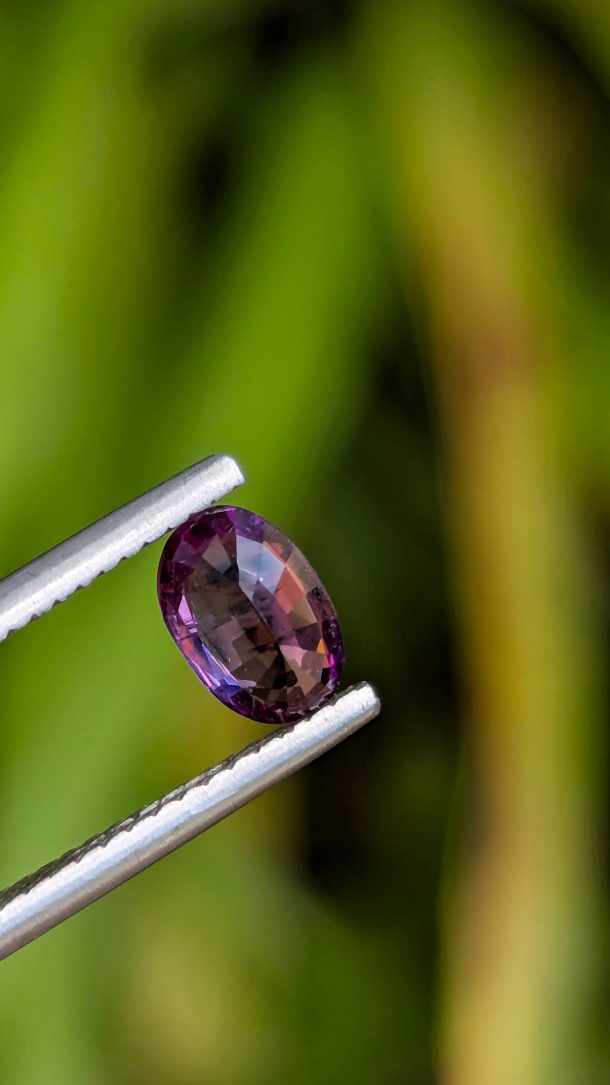 Natural Bicolor Sapphire 0.70 ct — Purple & Pink Oval | GR_644