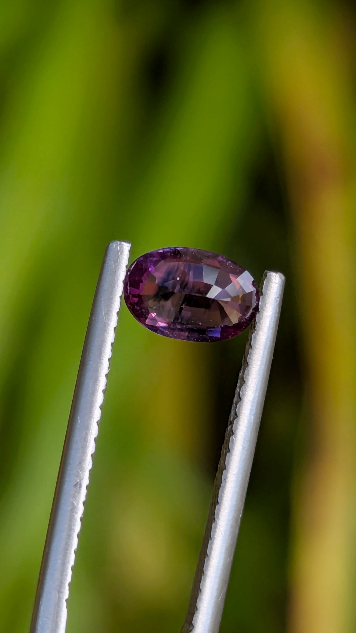 Natural Bicolor Sapphire 0.70 ct — Purple & Pink Oval | GR_644