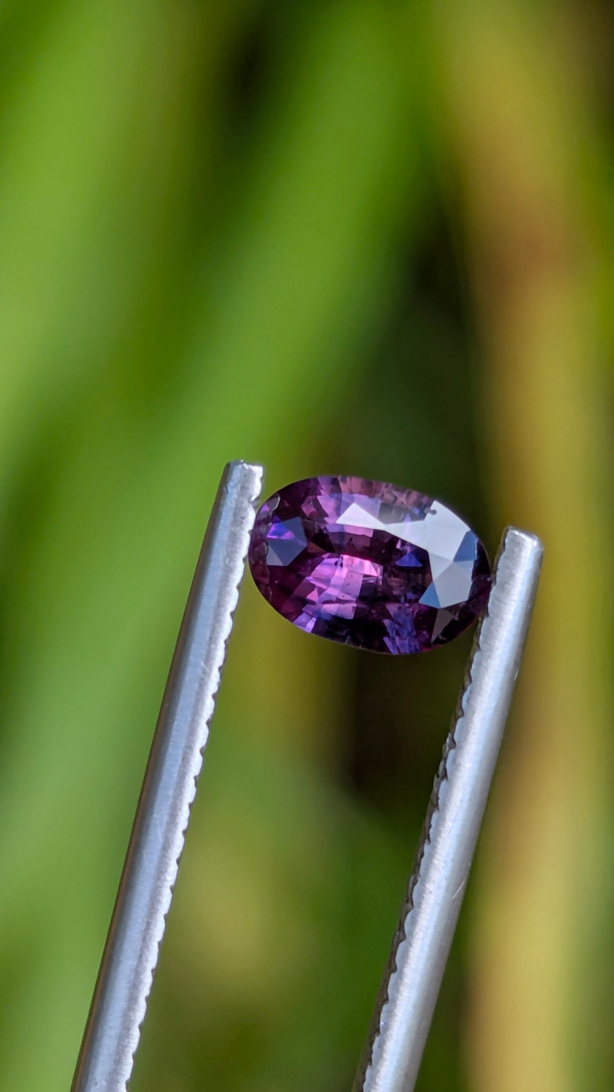 Natural Bicolor Sapphire 0.70 ct — Purple & Pink Oval | GR_644