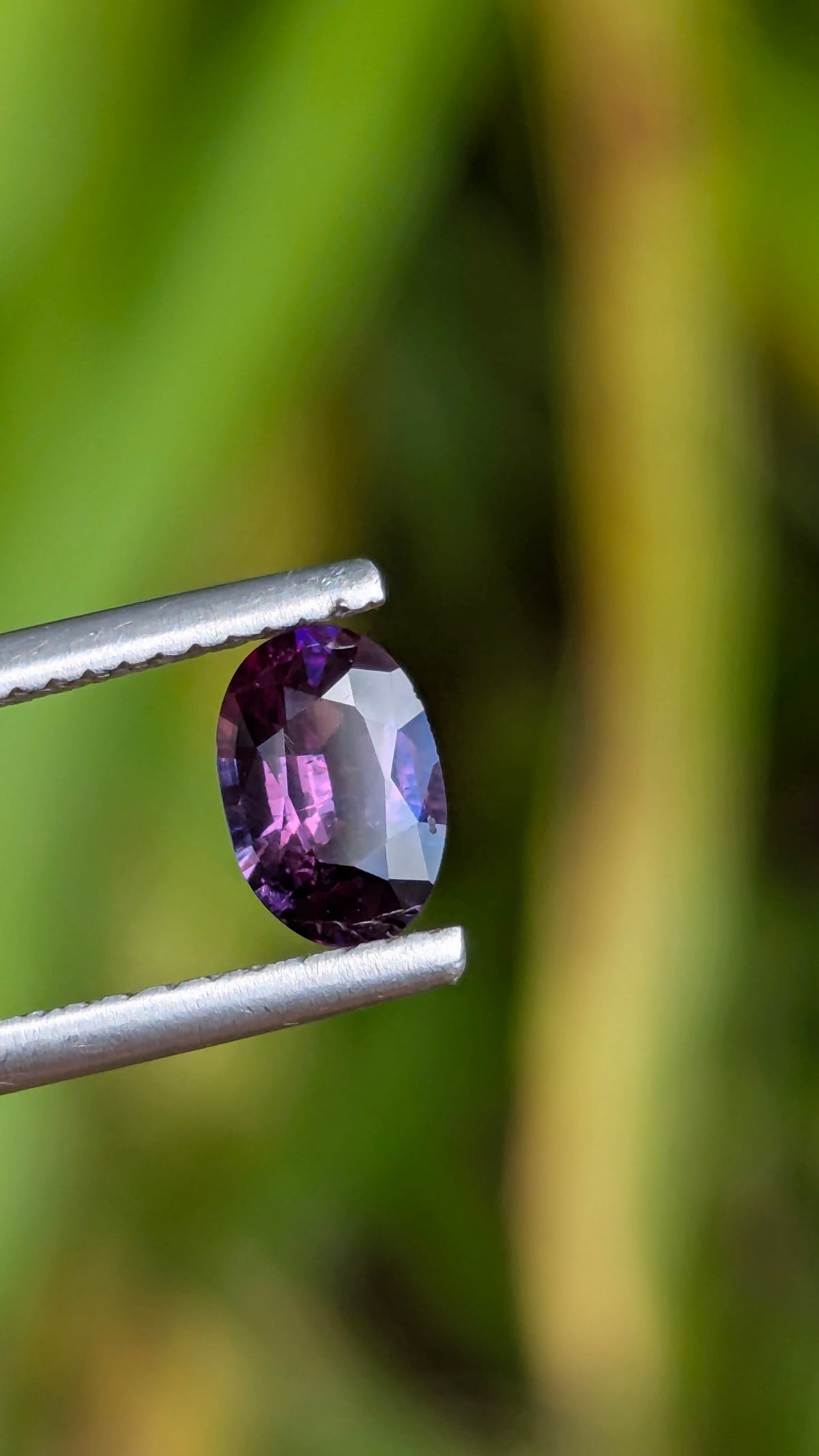 Natural Bicolor Sapphire 0.70 ct — Purple & Pink Oval | GR_644