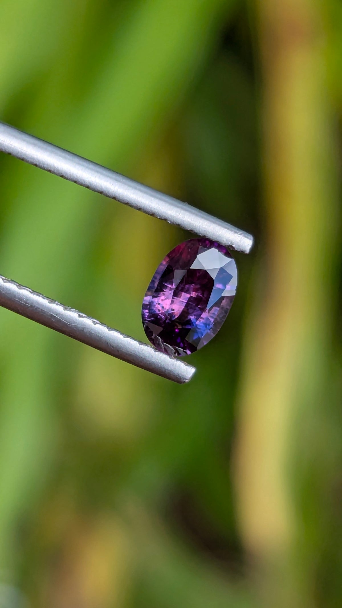 Natural Bicolor Sapphire 0.70 ct — Purple & Pink Oval | GR_644