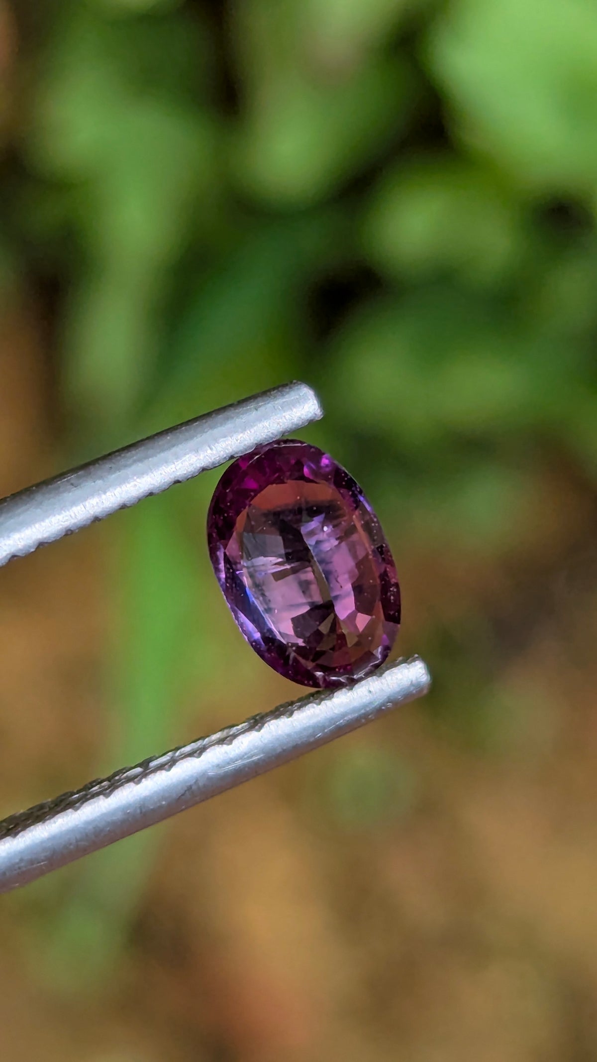 Natural Bicolor Sapphire 0.70 ct — Purple & Pink Oval | GR_644