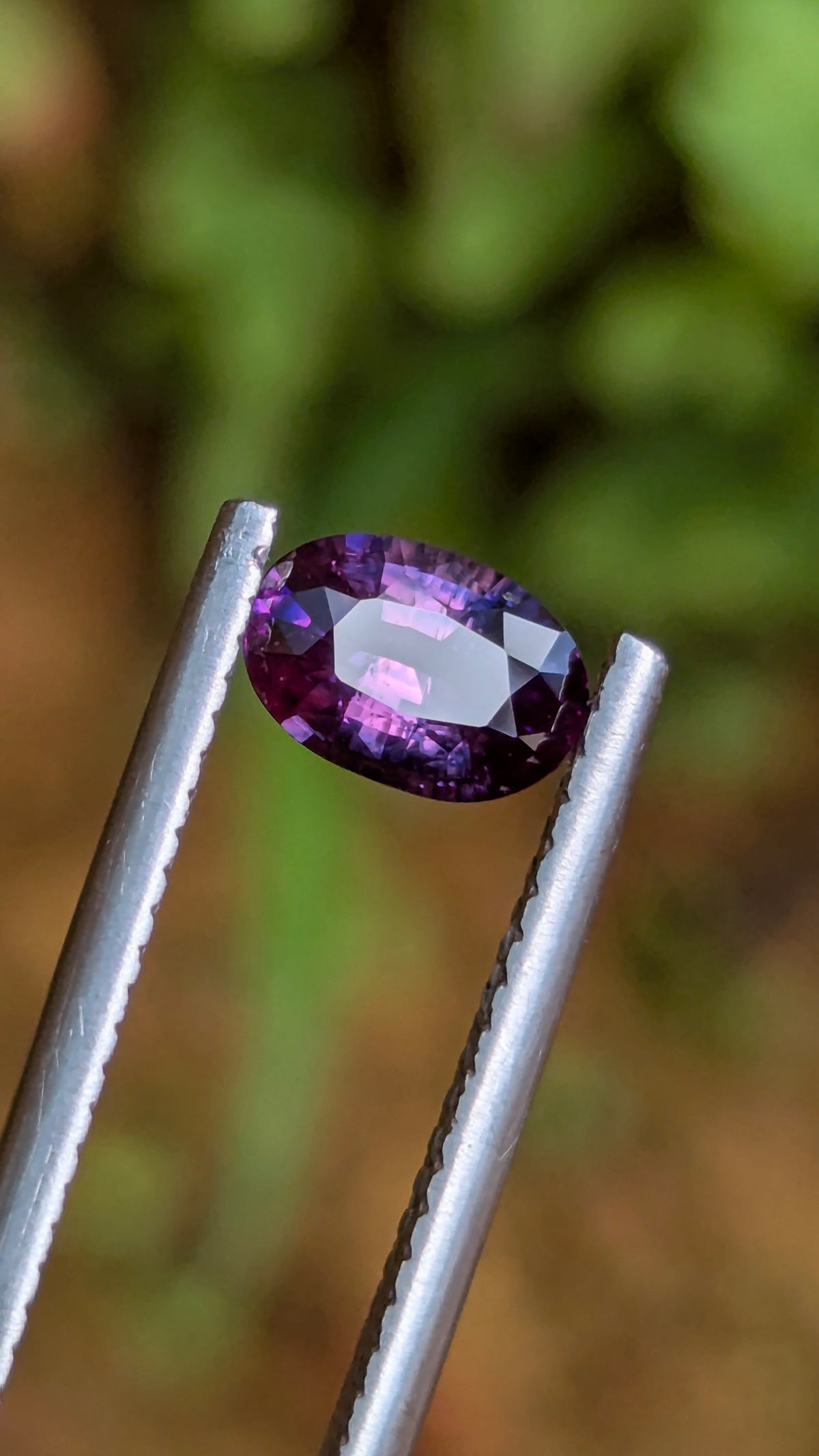 Natural Bicolor Sapphire 0.70 ct — Purple & Pink Oval | GR_644