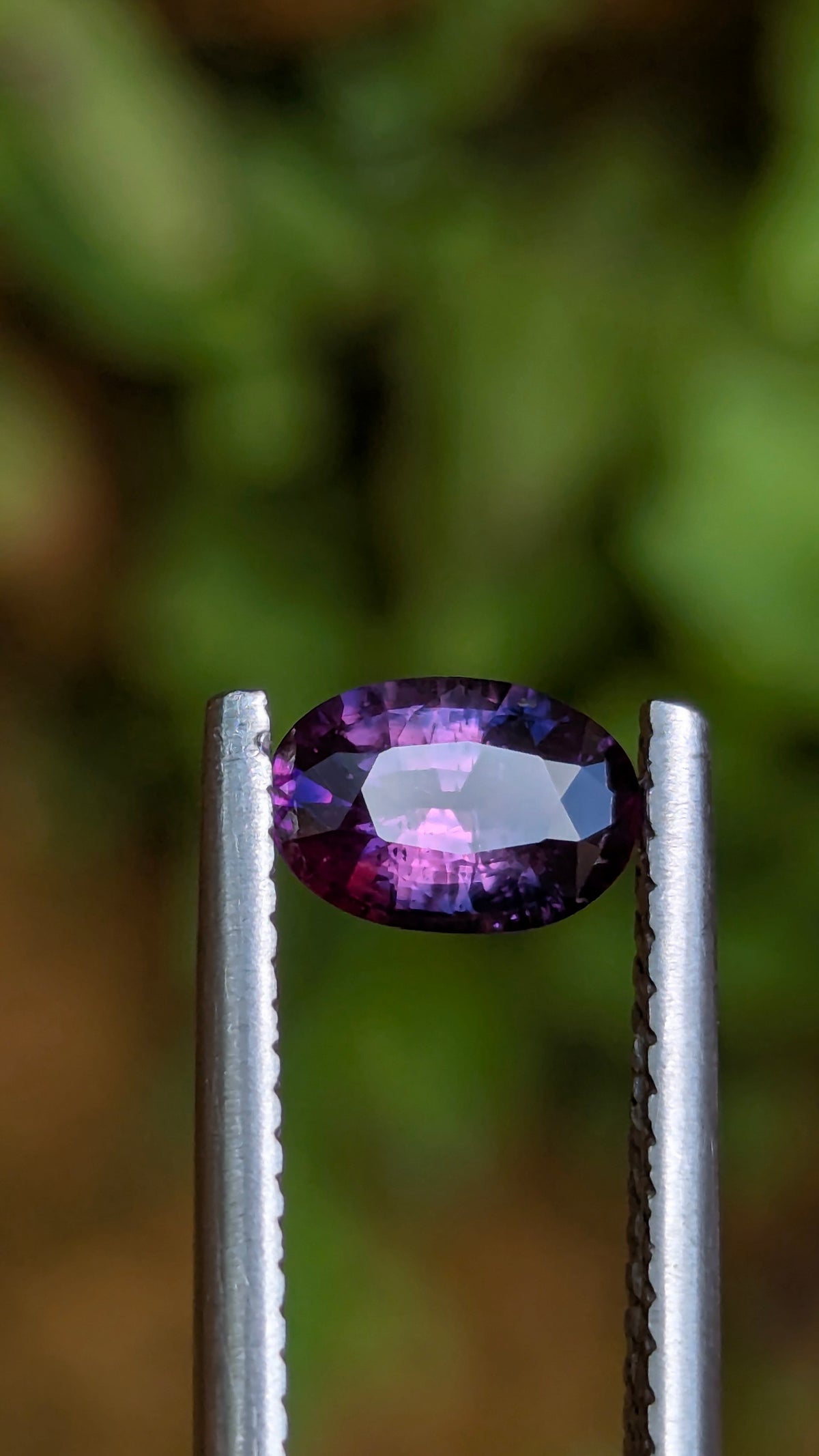 Natural Bicolor Sapphire 0.70 ct — Purple & Pink Oval | GR_644