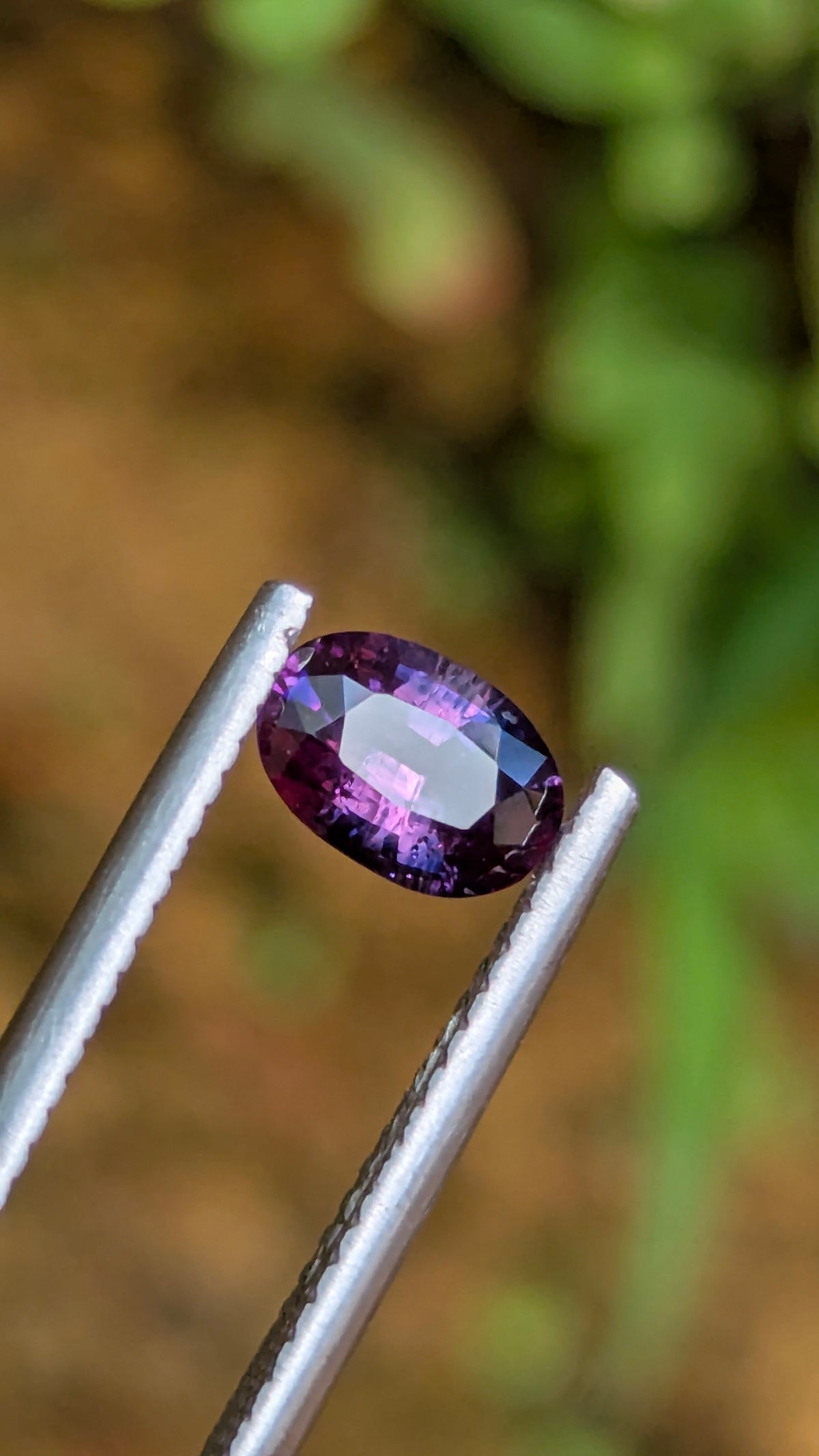 Natural Bicolor Sapphire 0.70 ct — Purple & Pink Oval | GR_644
